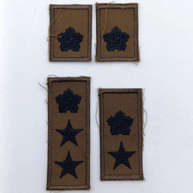Collection of SADF and SWATF rank badges