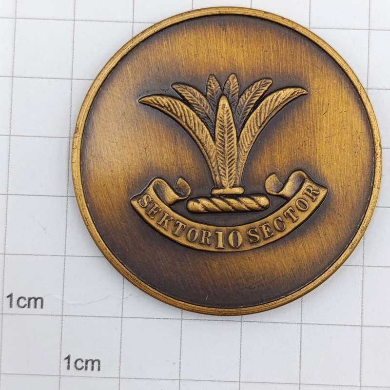 SWA Sector 10 medallion
