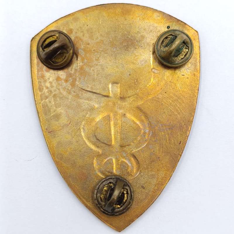 SADF 18 Field Ambulance shoulder flash