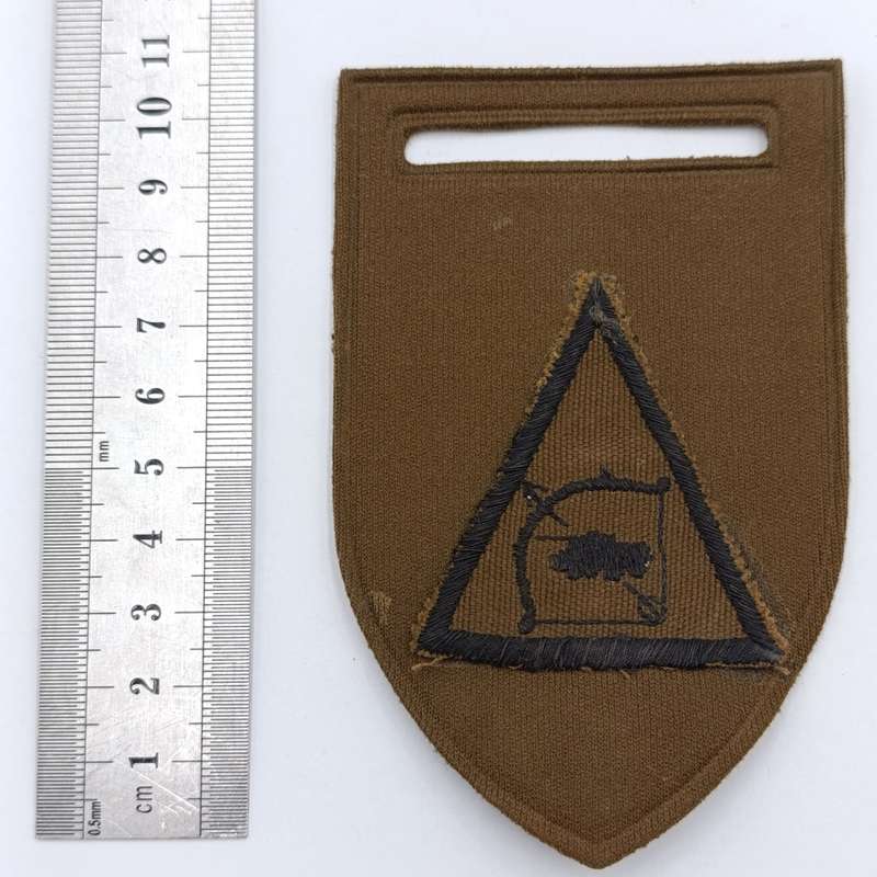 SADF 61 Mech A company (Infantry) arm patch - nutria badge on tupperware backing