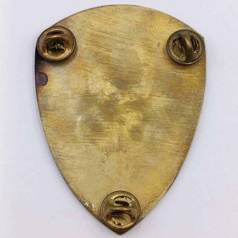 SADF 4 Field Ambulance shoulder flash