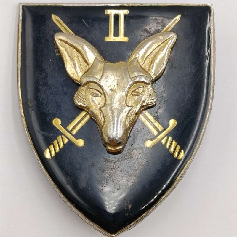 SA Army 2 Intelligence unit fantasy flash