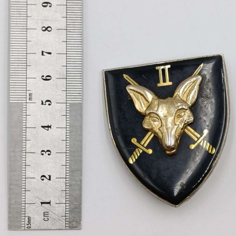 SA Army 2 Intelligence unit fantasy flash
