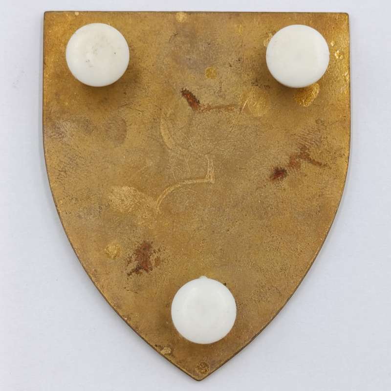Zambia Defence Force 3rd Battalion shoulder flash