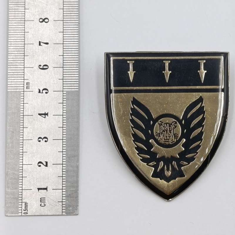 Bophuthatswana Defence Force Special Task force belt buckle badge