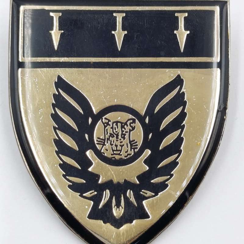 Bophuthatswana Defence Force Special Task force belt buckle badge