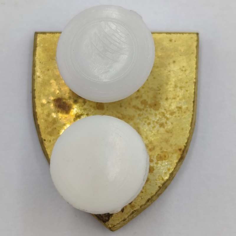 SWA Sector 10 lapel badge
