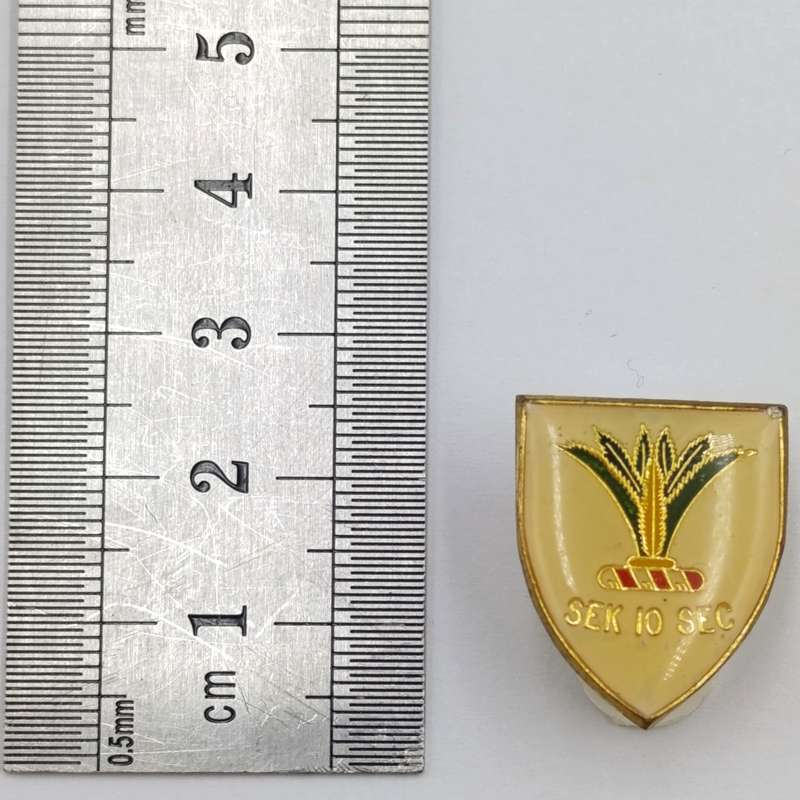SWA Sector 10 lapel badge