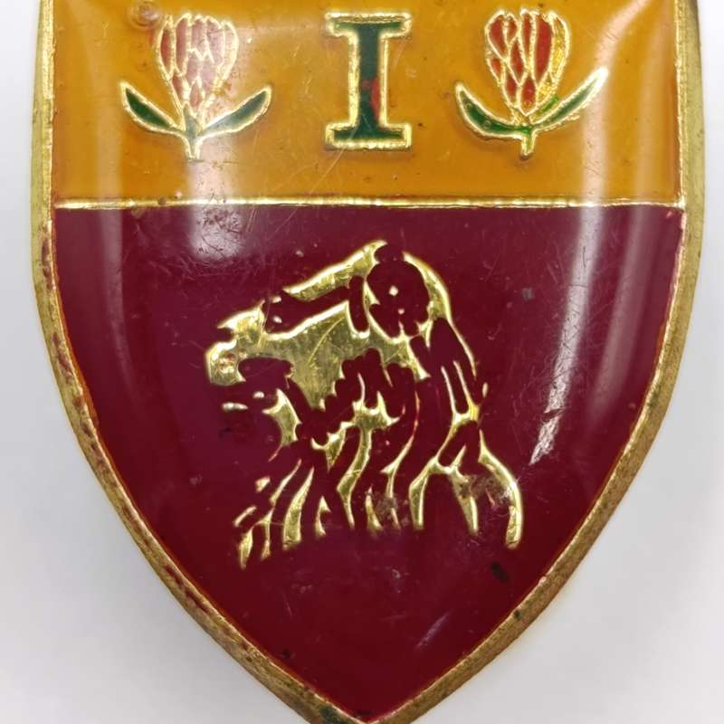 SADF 1st De La Rey regiment lapel badge