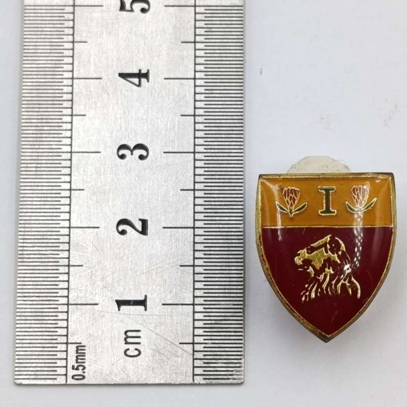 SADF 1st De La Rey regiment lapel badge