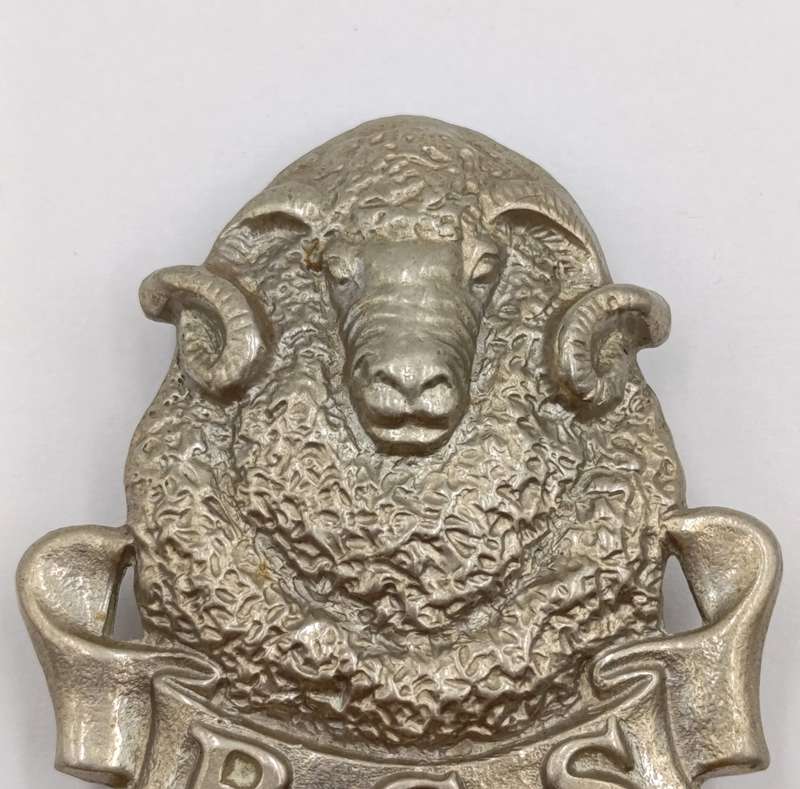 SADF Regiment scheepers cap badge