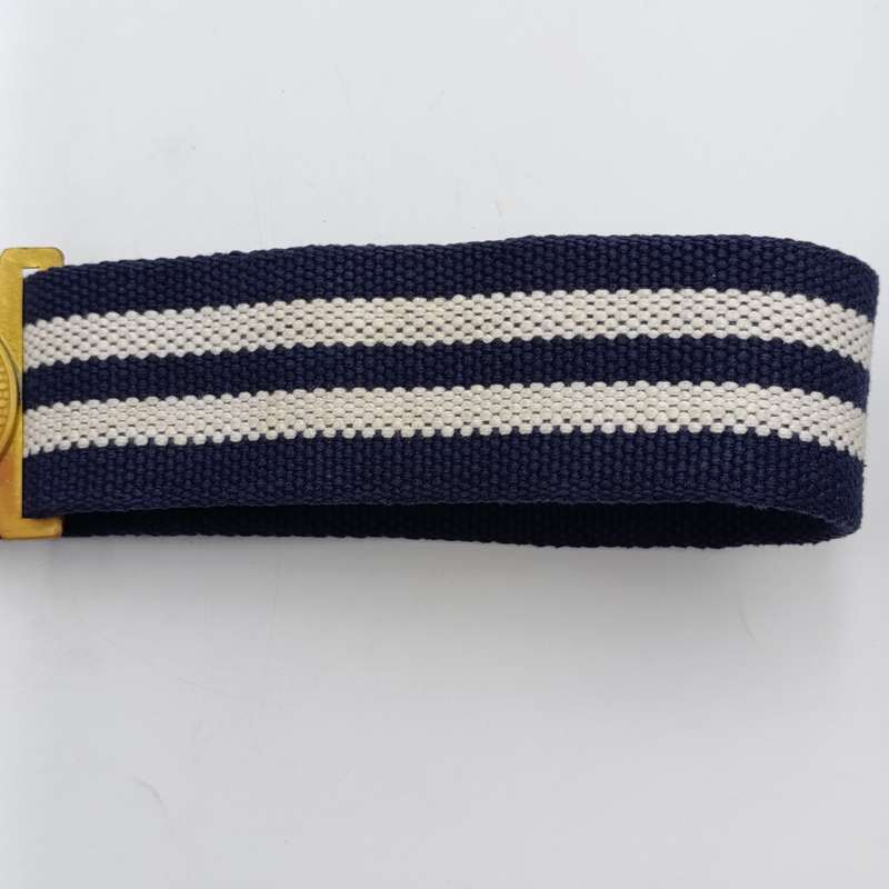 SA Air Force Guard Unit stable belt