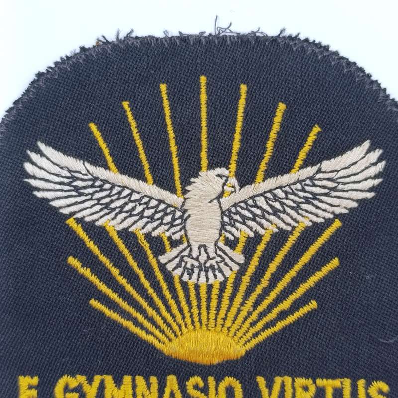 SA Air Force Gymnasium blazer badge