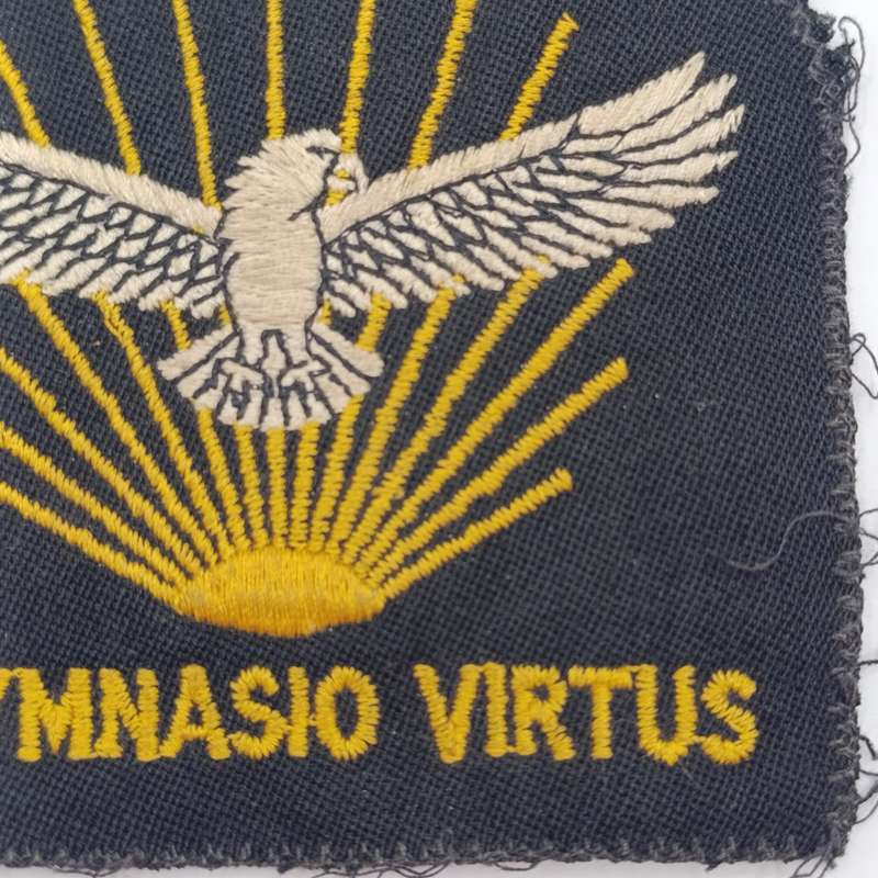 SA Air Force Gymnasium blazer badge