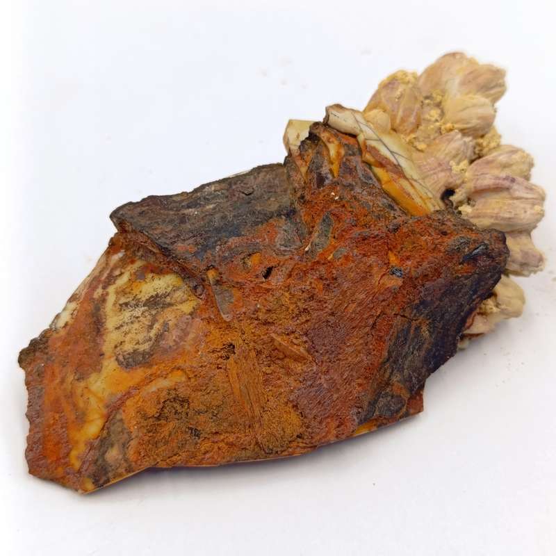 Shipwreck conglomorate with blue porcelain - Also shipwreck coin from the same wreck