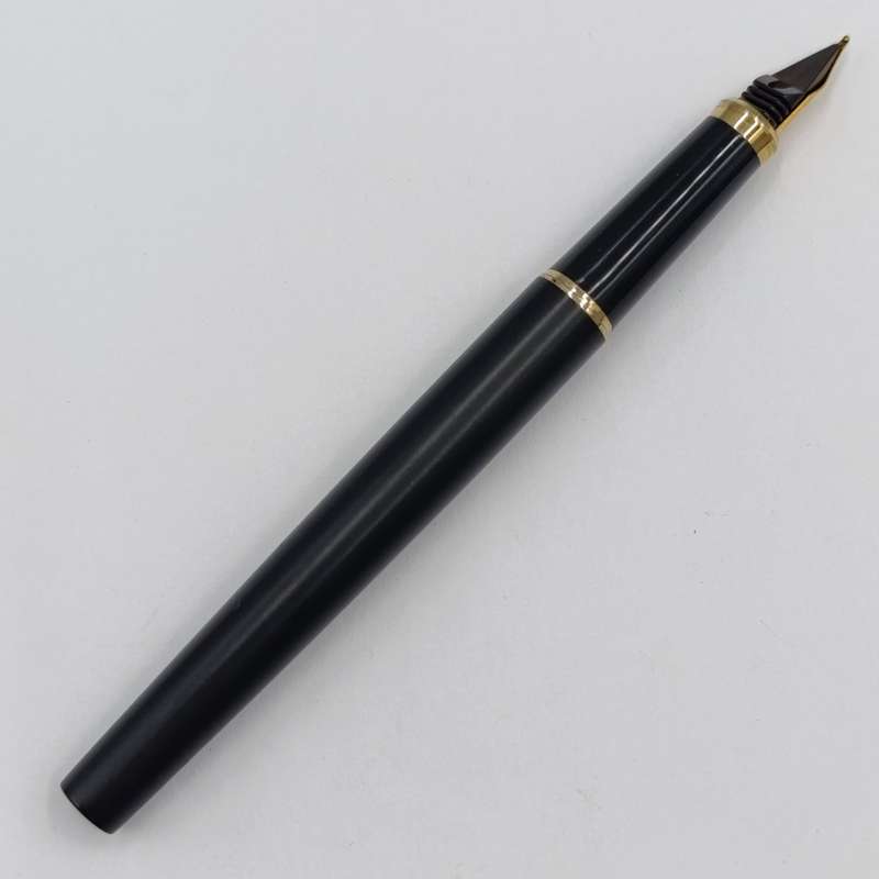 Vintage Sheaffer fountain pen
