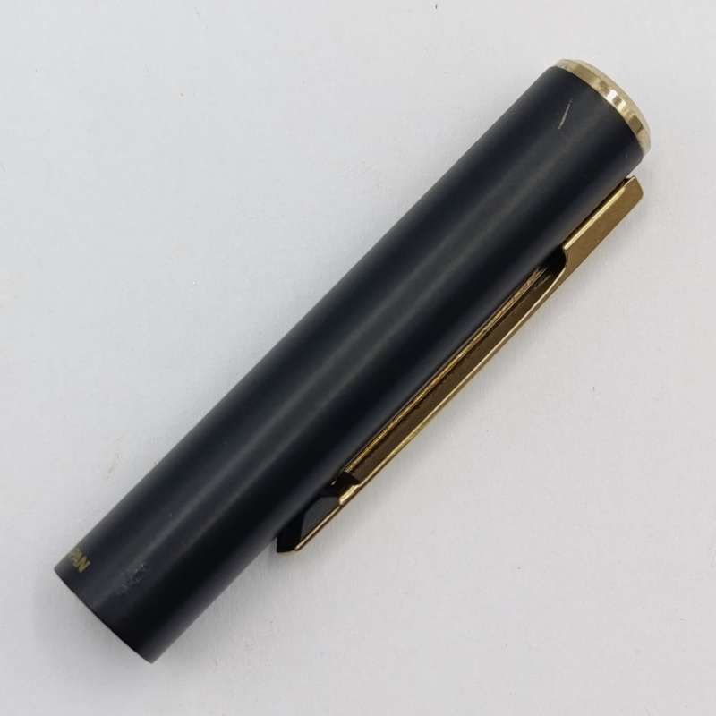 Vintage Sheaffer fountain pen