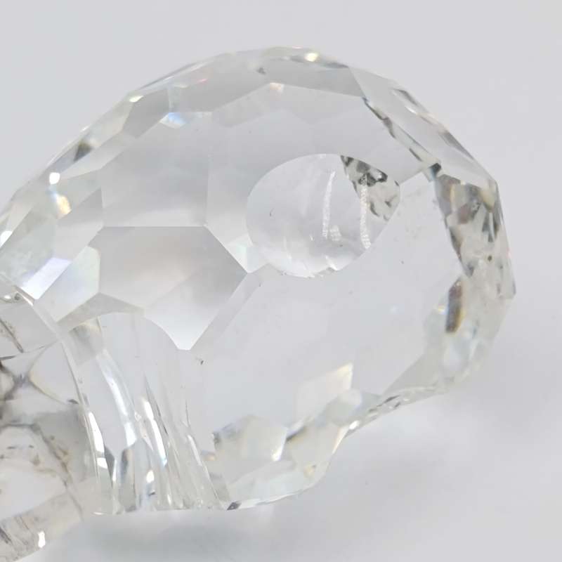 Swarovski Hippo crystal figurine