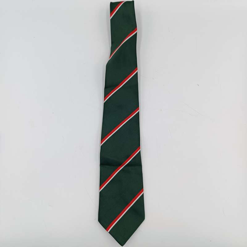 South African army intelligence corps tie