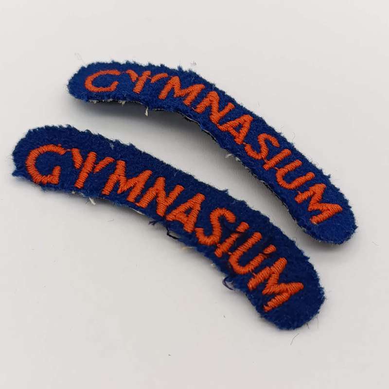Pair of SA military Gymnasium shoulder cloth titles
