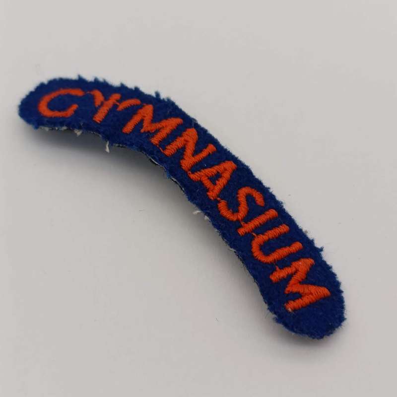 Pair of SA military Gymnasium shoulder cloth titles