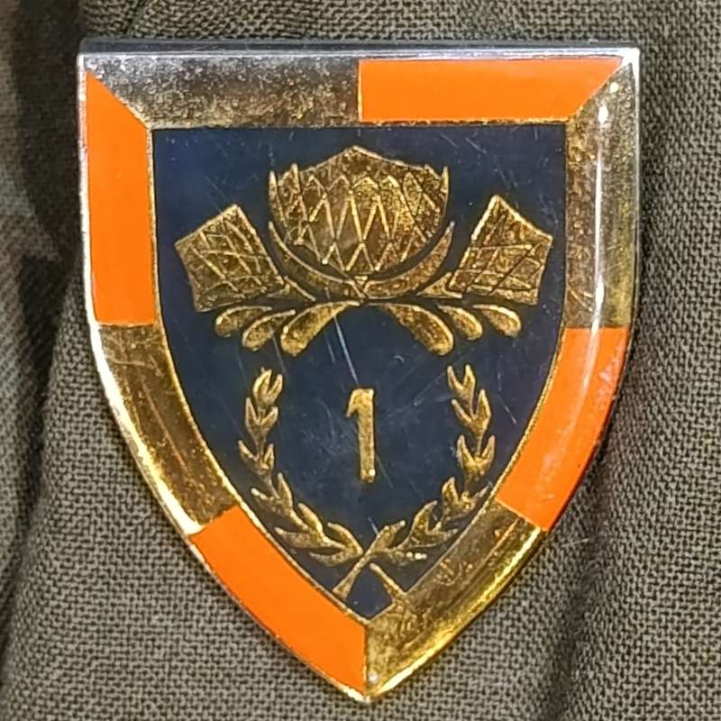 SADF 1 special service battalion 2nd lieutenant. Step-out tunic