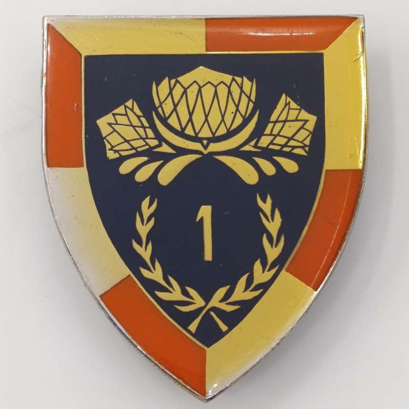 SADF 1 Special service battalion shoulder flash
