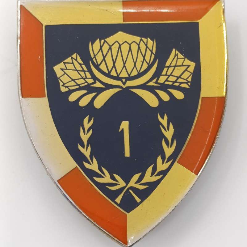 SADF 1 Special service battalion shoulder flash