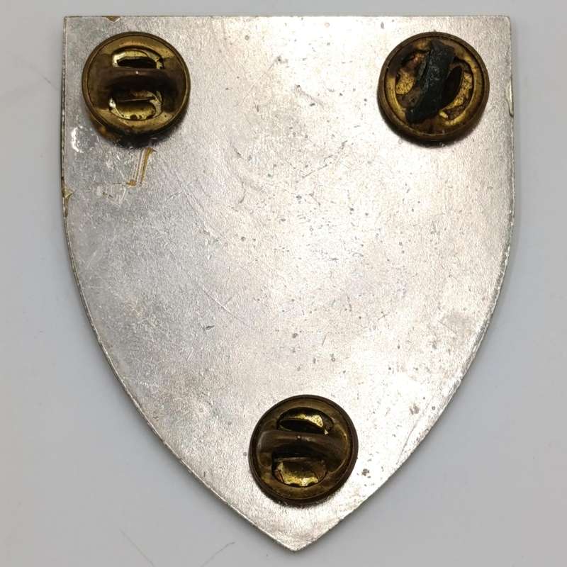 SADF 1 Special service battalion shoulder flash