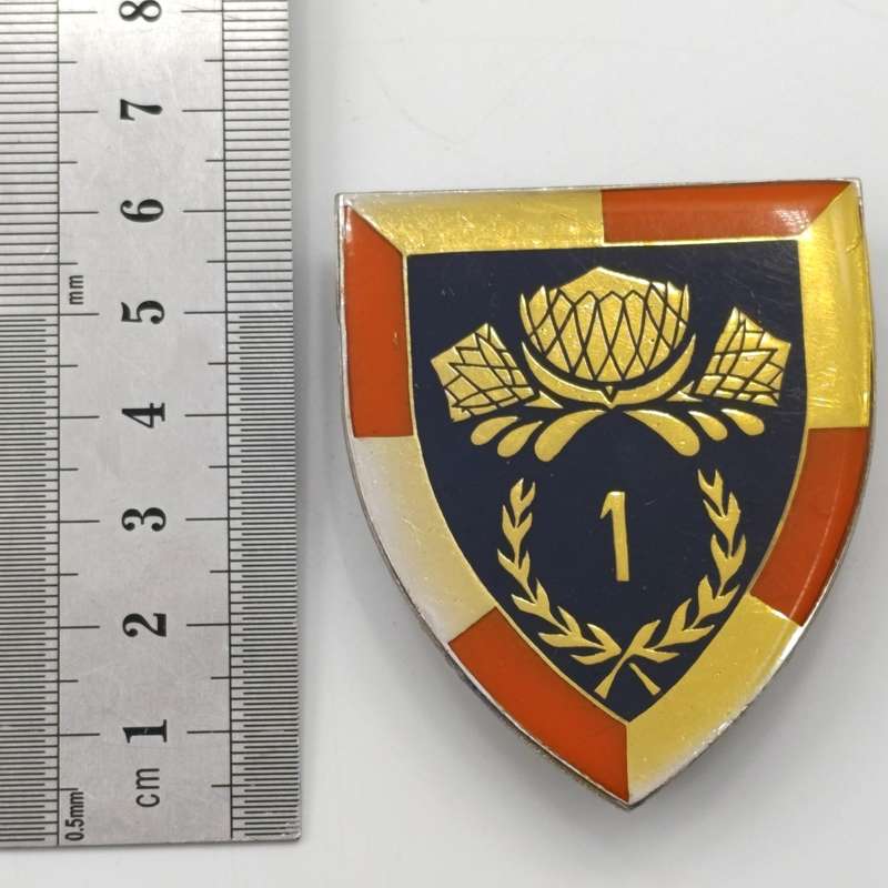 SADF 1 Special service battalion shoulder flash