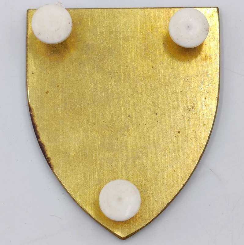 SA Infantry school shoulder flash