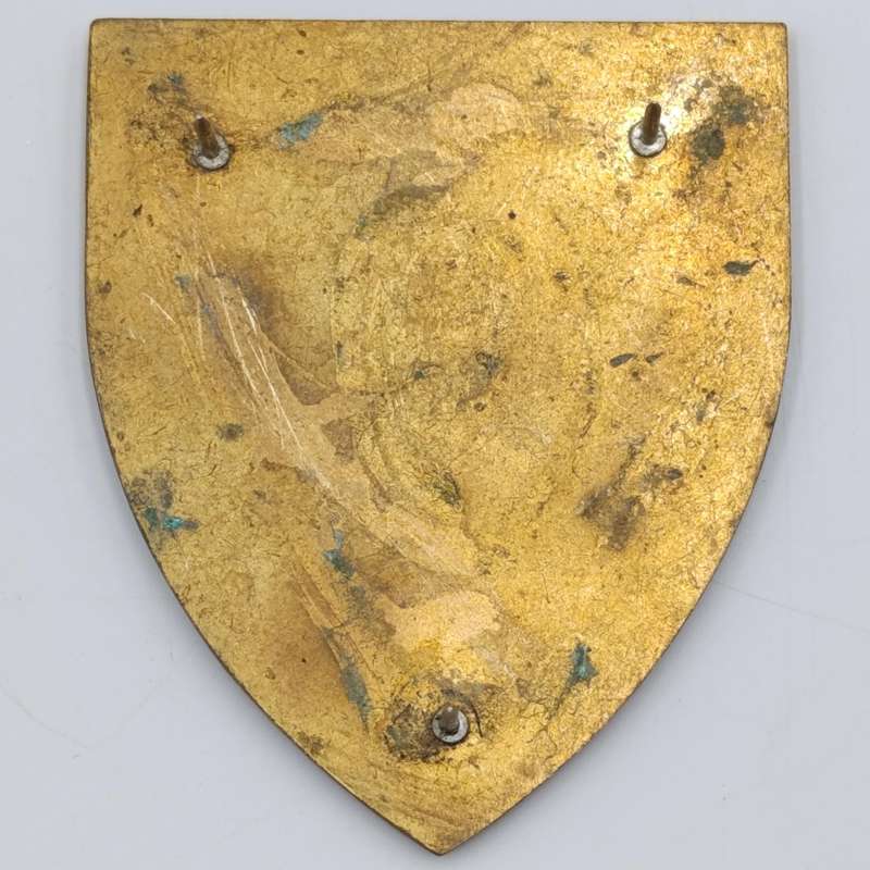 SADF 1 SA Infantry battalion shoulder flash