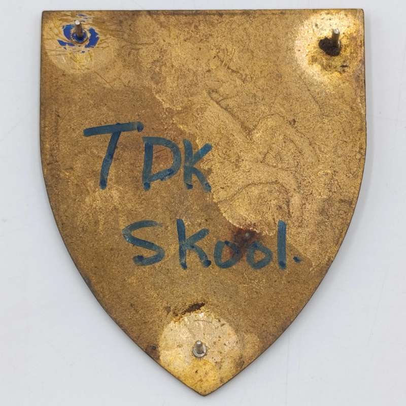 SADF Technical service training centre shoulder flash