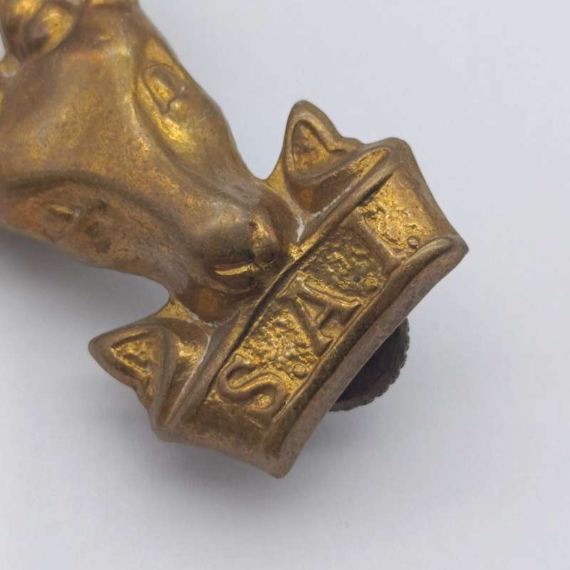 SA Infantry Kokkop cap badge