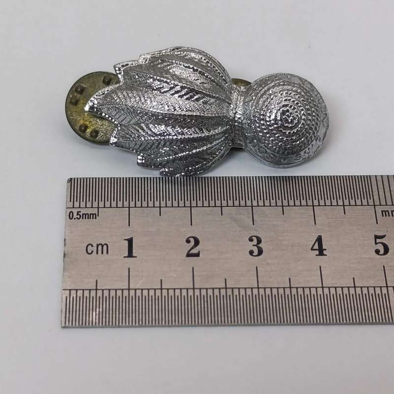 Pair of SA Engineers collar badges