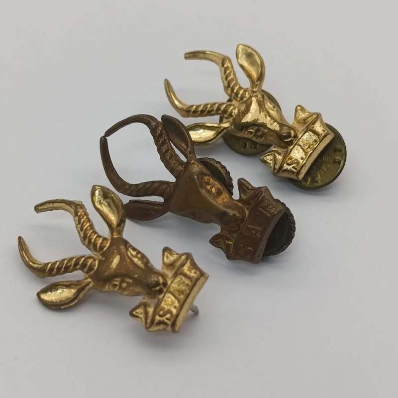 SA Infantantry beret and collar badges set