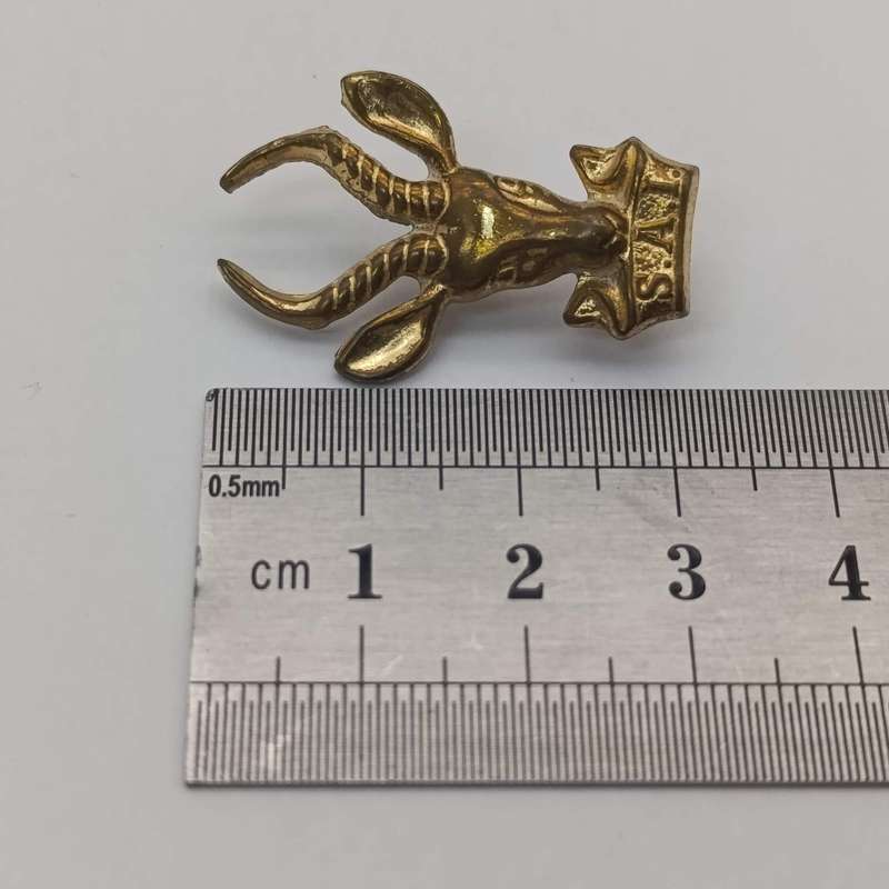 SA Infantantry beret and collar badges set