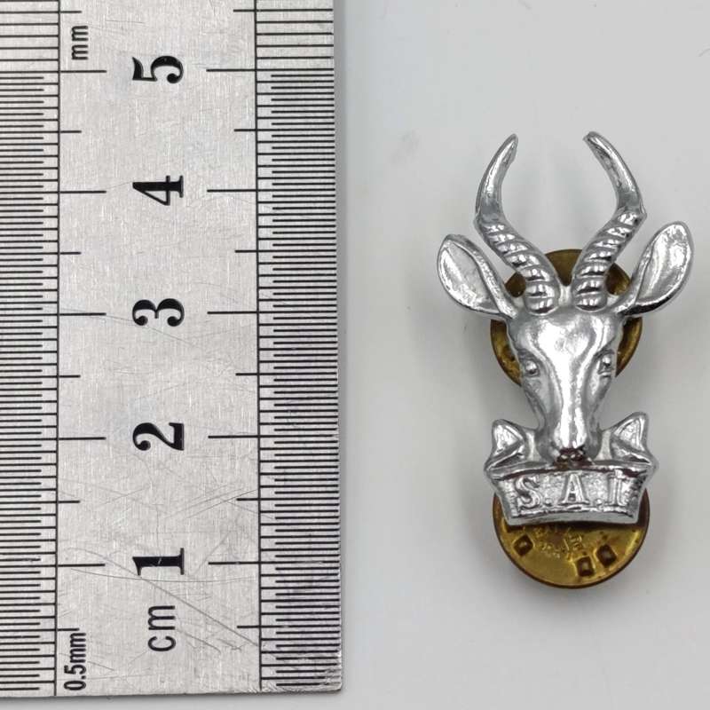 Pair of SA Infantry bokkop collar badges