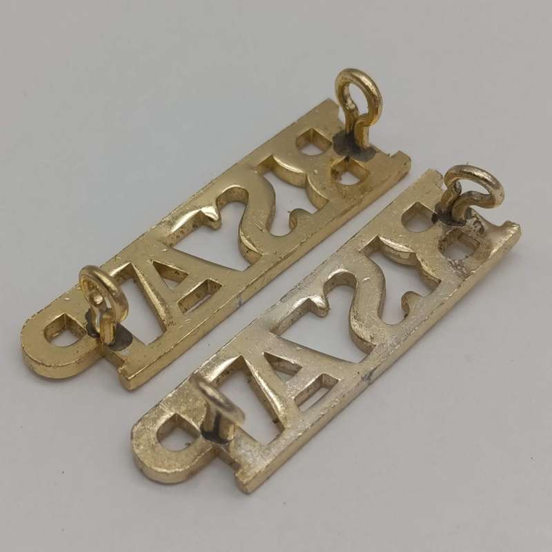 Pair of Rhodesian BSAP shoulder titles