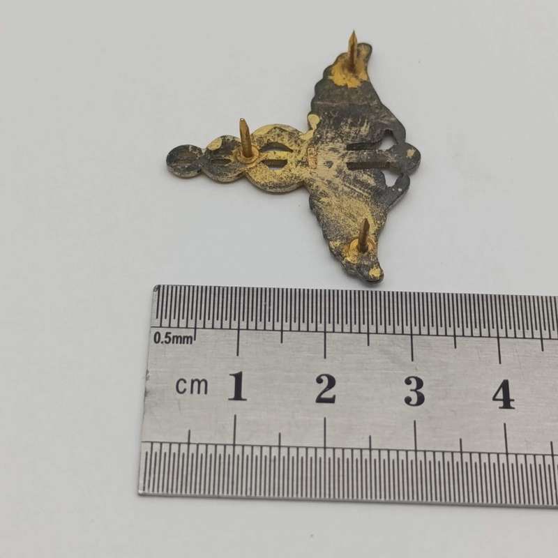 SA Medical service silver Doctor's  breast badge