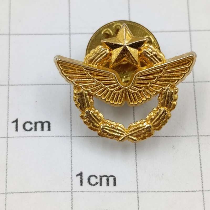 French Air Force pilot Lapel pin badge