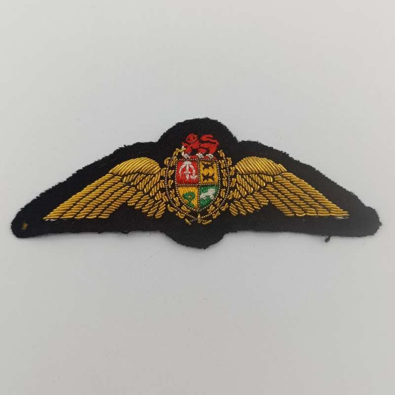 SA Air Force Pilot wing