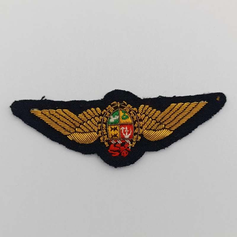 SA Air Force Pilot wing