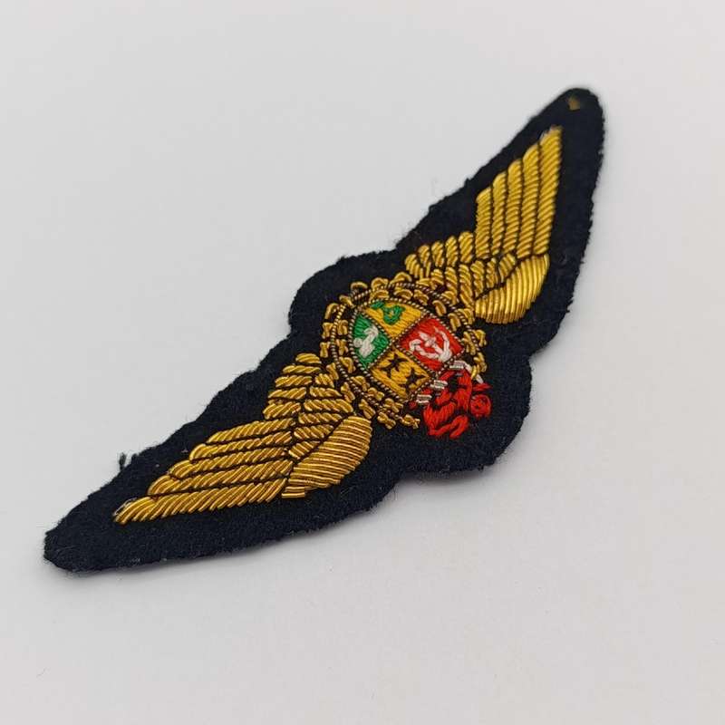 SA Air Force Pilot wing
