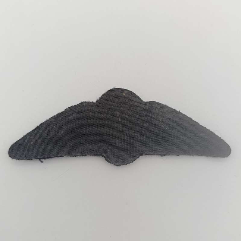 SA Air Force Pilot wing