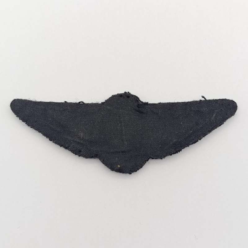 SA Air Force Pilot wing