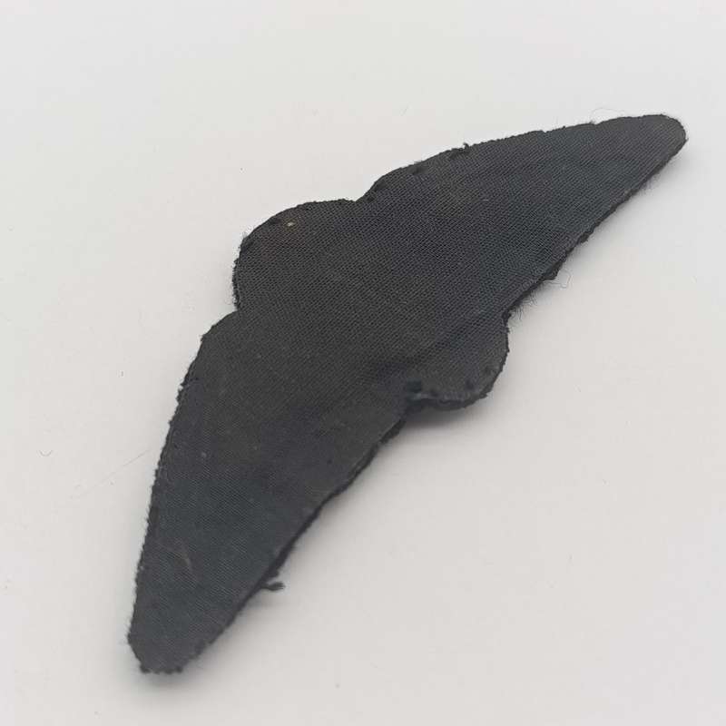 SA Air Force Pilot wing