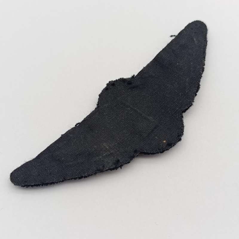 SA Air Force Pilot wing