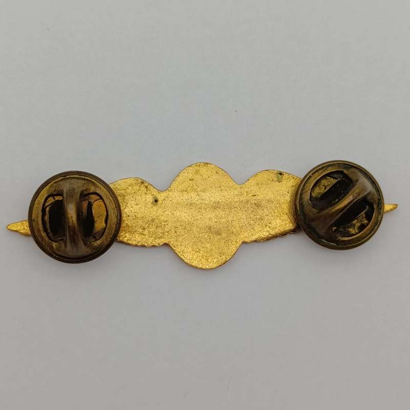 SA Air Force Pilot mess dress ring