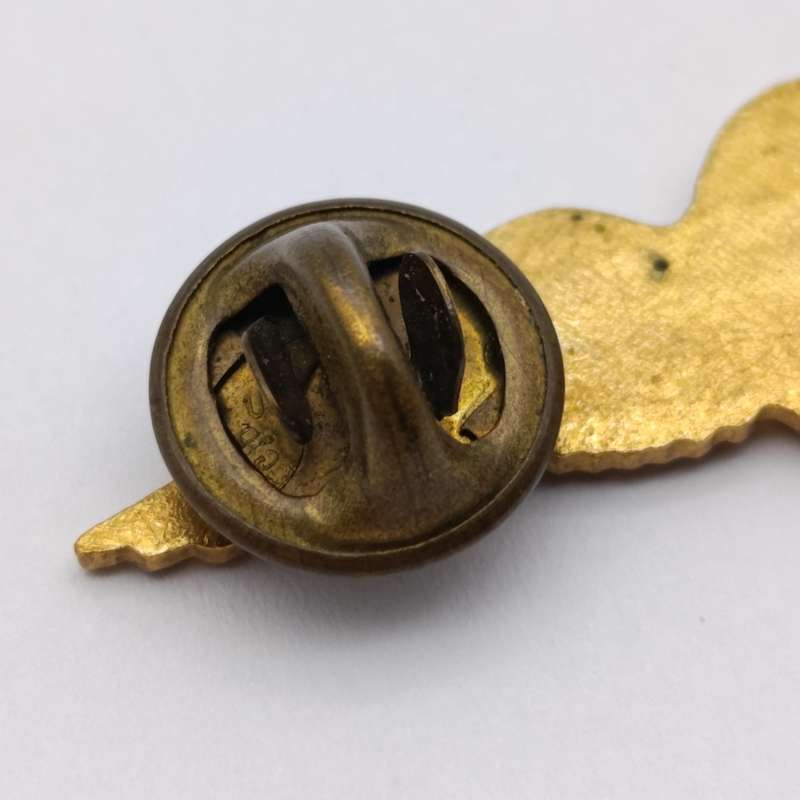 SA Air Force Pilot mess dress ring